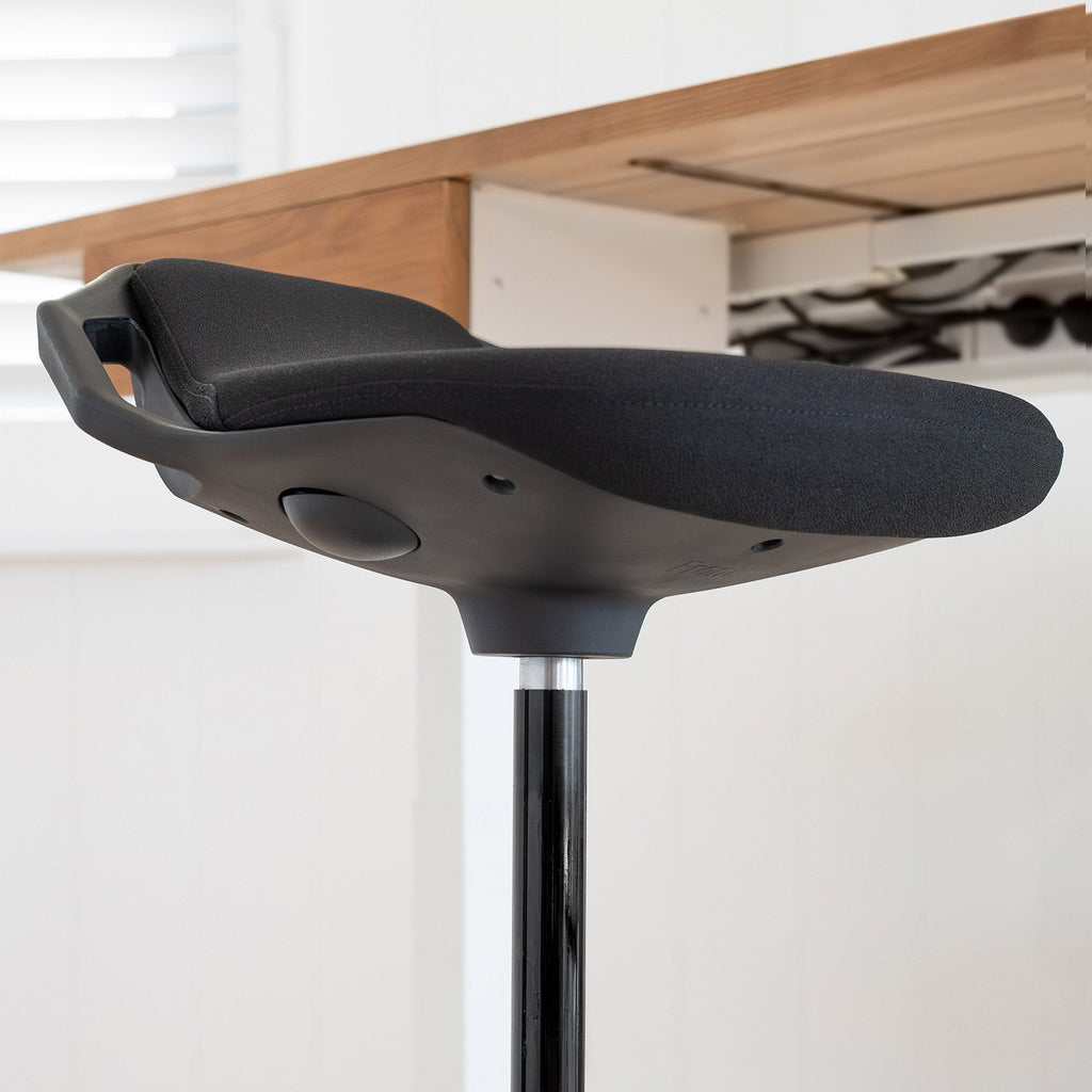 Desky Sit Stand Pro Active Stool