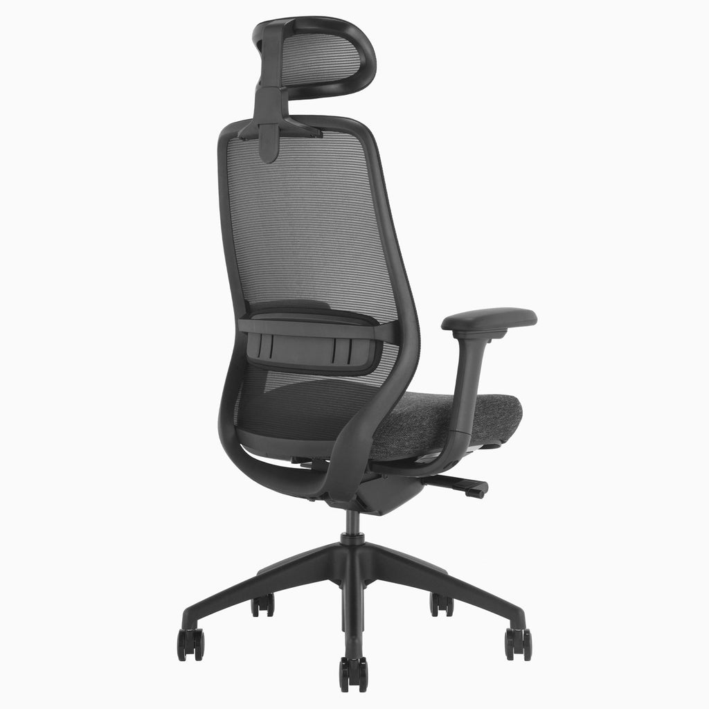 Desky Coilflex Ergonomic Office Chair