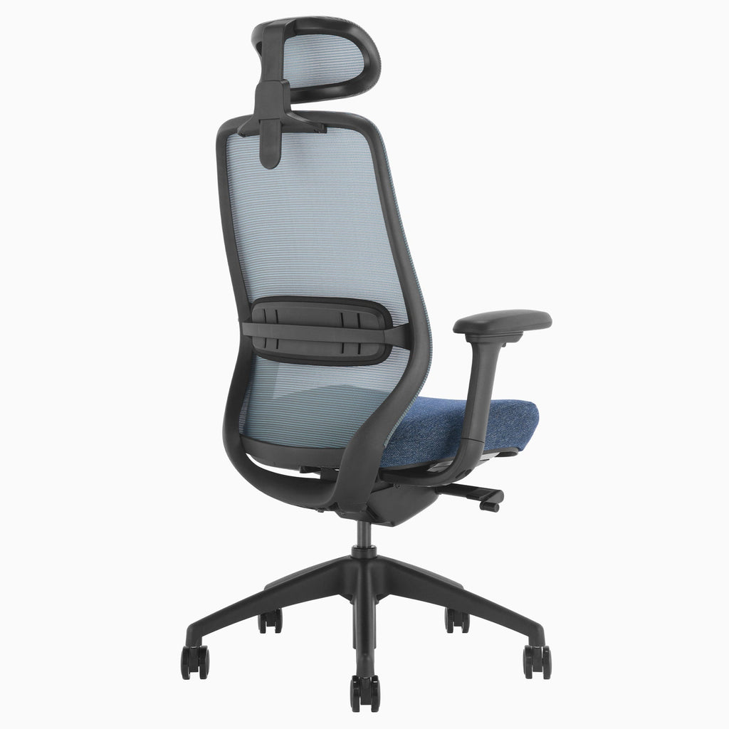 Desky Coilflex Ergonomic Office Chair