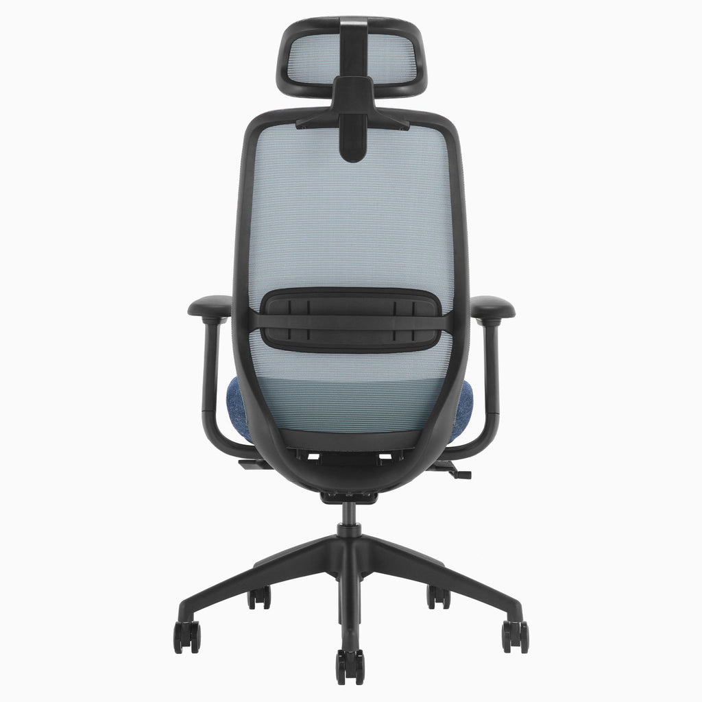 Desky Coilflex Ergonomic Office Chair