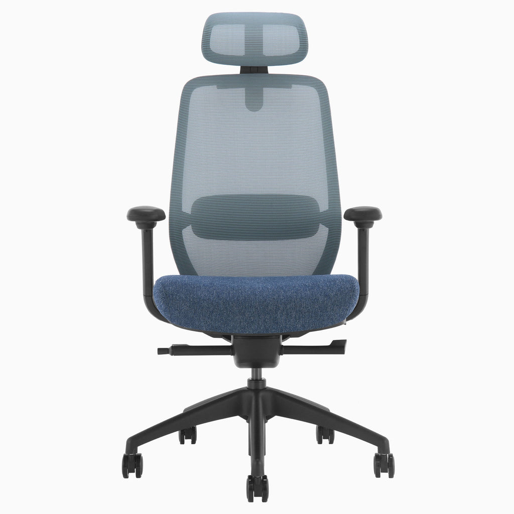 Desky Coilflex Ergonomic Office Chair
