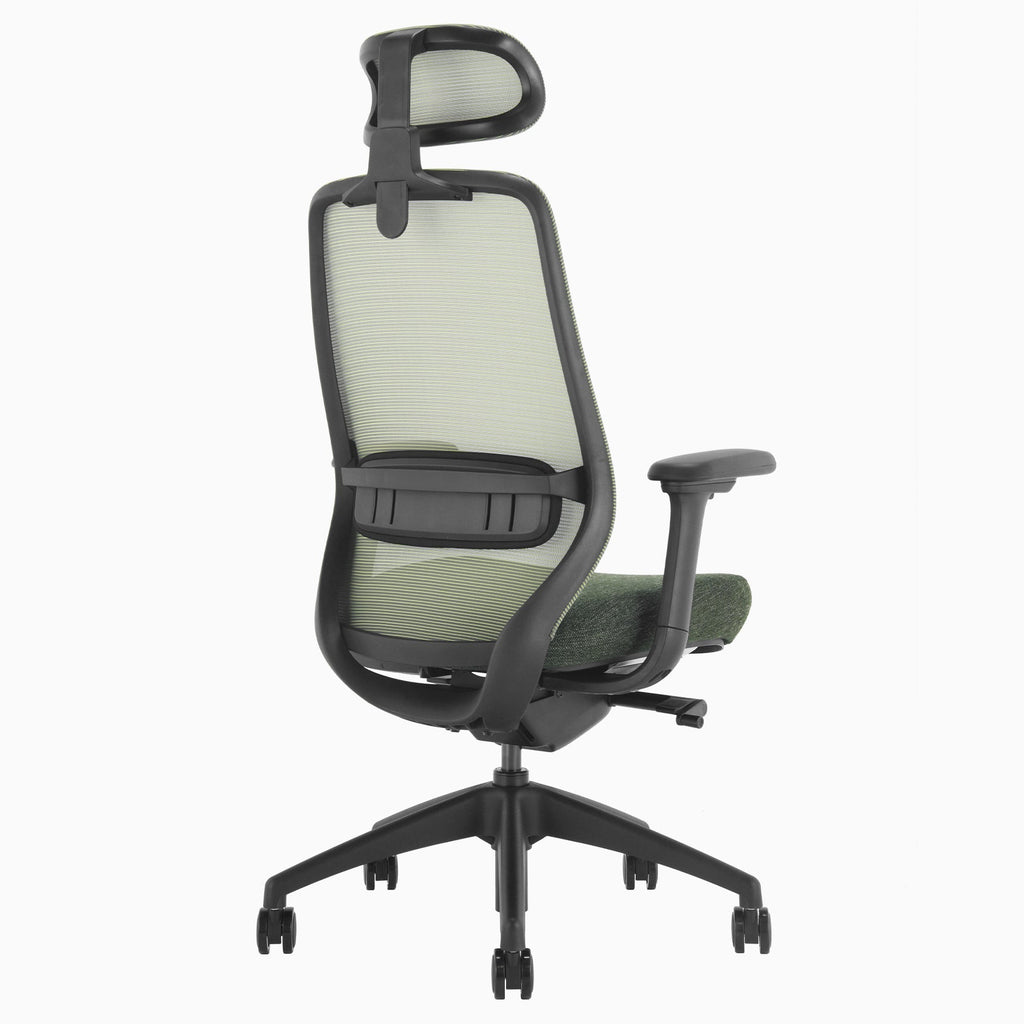 Desky Coilflex Ergonomic Office Chair