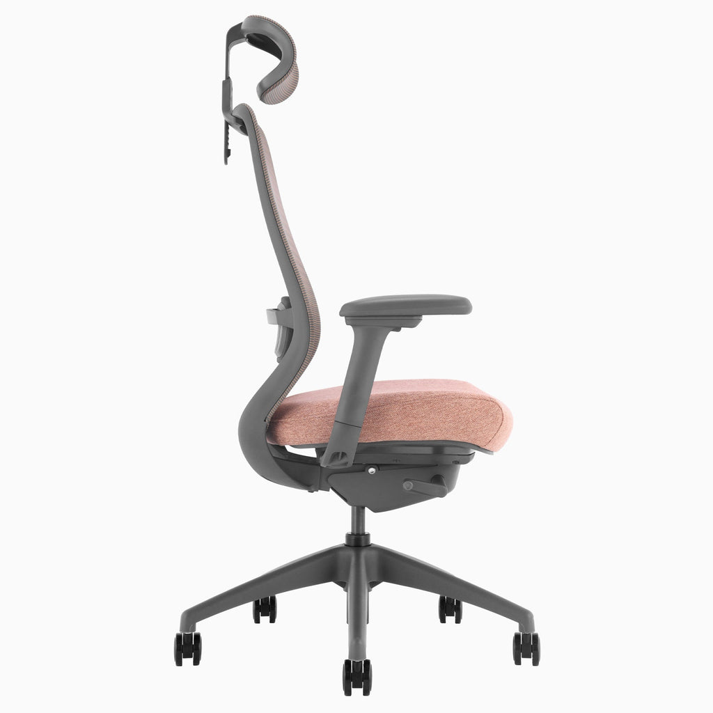 Desky Coilflex Ergonomic Office Chair