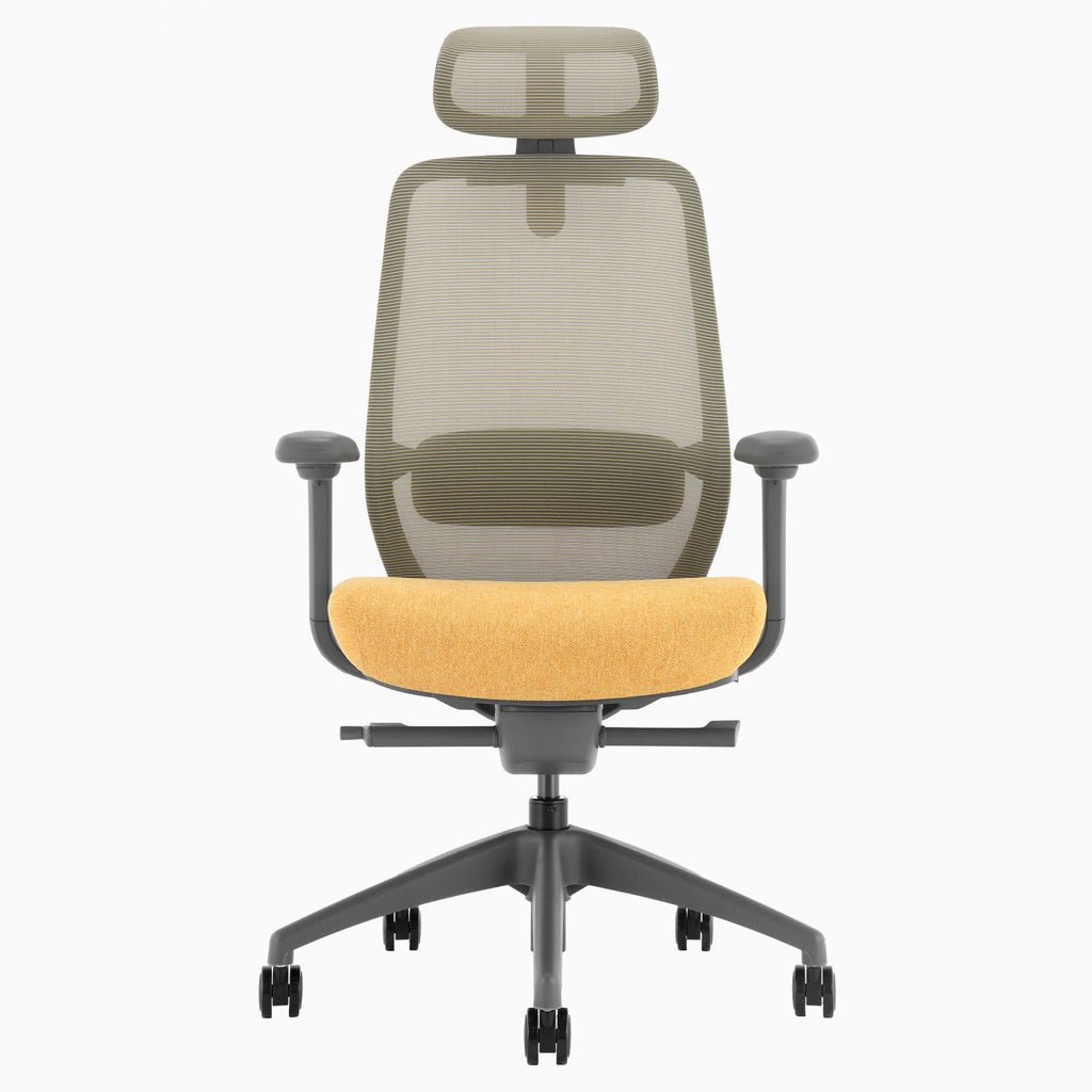 Desky Coilflex Ergonomic Office Chair