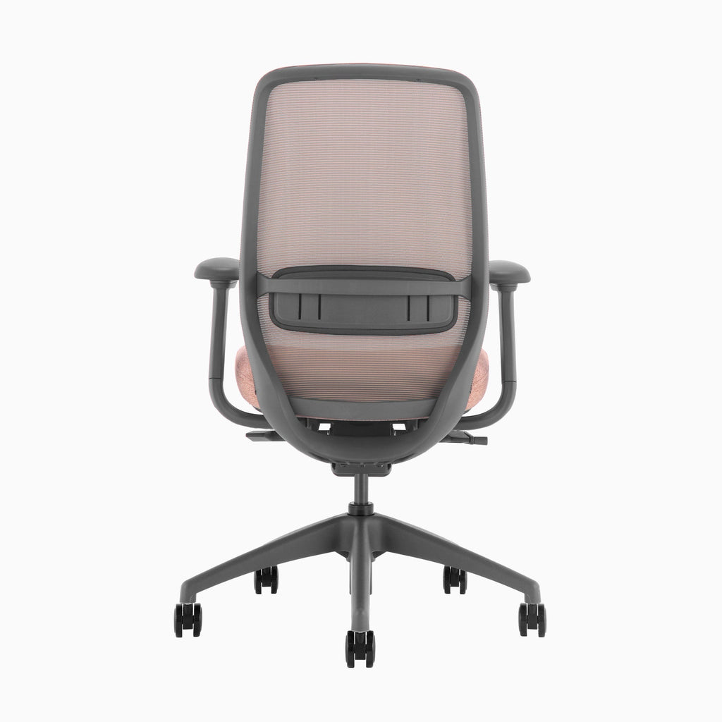 Desky Coilflex Ergonomic Office Chair