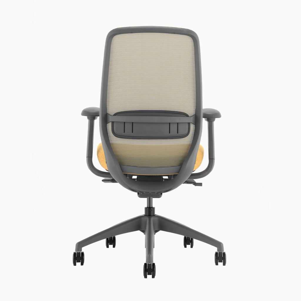 Desky Coilflex Ergonomic Office Chair
