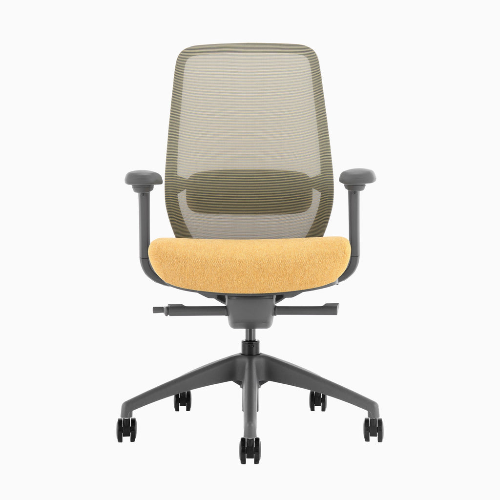 Desky Coilflex Ergonomic Office Chair